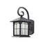 Home Decorators Collection Brimfield 12.75 in. Aged Iron LED Outdoor Wall Lantern with Clear Seedy Glass Shade
