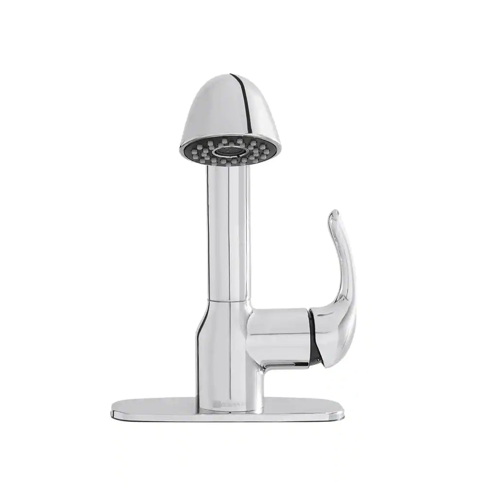 Glacier Bay Dunning Single-Handle Pull-Out Laundry Faucet with Dual Spray Function in Chrome