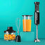 NutriBullet 2-Speed Black Immersion Blender System with Attachments