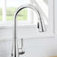Glacier Bay Sadira Single-Handle Pull-Down Sprayer Kitchen Faucet in Chrome