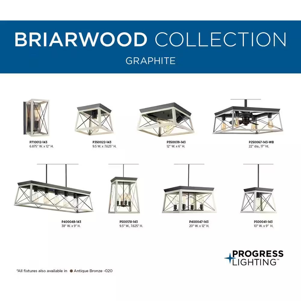 Progress Lighting Briarwood Collection 1-Light Graphite Kitchen Farmhouse Mini-Pendant Hanging Light