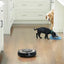 iRobot Roomba e6 (6198) Wi-Fi Connected Robot Vacuum Cleaner, Ideal for Pet Hair, Carpets, Self-Charging in Sand Dust