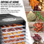 Ivation 9 Plastic Tray Food Dehydrator For Snacks, Herbs, Fruit and Beef Jerky