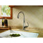 Pfister Avanti Single-Handle Pull-Down Sprayer Kitchen Faucet in Stainless Steel