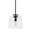Hampton Bay Mullins 10 in. 1-Light Coal Pendant Hanging Light, Modern Industrial Kitchen Pendant Lighting