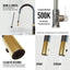 VIGO Bristol Single-Handle Pull-Down Sprayer Kitchen Faucet in Matte Gold/Matte Black