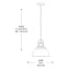 Home Decorators Collection Shelston 10 in. 1-Light White and Chrome Farmhouse Hanging Kitchen Pendant Light with Metal Shade