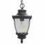 Home Decorators Collection Wilkerson 1-Light Black Outdoor Chain Hung Lantern