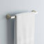 Pfister Venturi 18 in. Towel Bar in Spot Defense Brushed Nickel