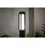 Hampton Bay Madison Low Voltage Black Integrated LED Path Light with Frosted Glass