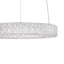 Home Decorators Collection Wesley Park 100-Watt Integrated LED Chrome Pendant Hanging Light with Clear Round Acrylic Ring Shade