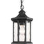 Progress Lighting Edition Collection 1-Light Textured Black Clear Water Glass Traditional Outdoor Hanging Lantern Light