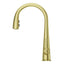 Pfister Lita Single-Handle Pull-Down Sprayer Kitchen Faucet in Brushed Gold