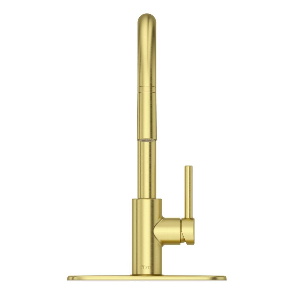 Pfister Stellen Single-Handle Pull-Down Sprayer Kitchen Faucet in Brushed Gold