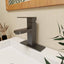 Pia Ricco Single-Handle Single-Hole Bathroom Faucet in Matte Black