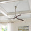 Home Decorators Collection Triplex 60 in. LED Polished Nickel Ceiling Fan with Light